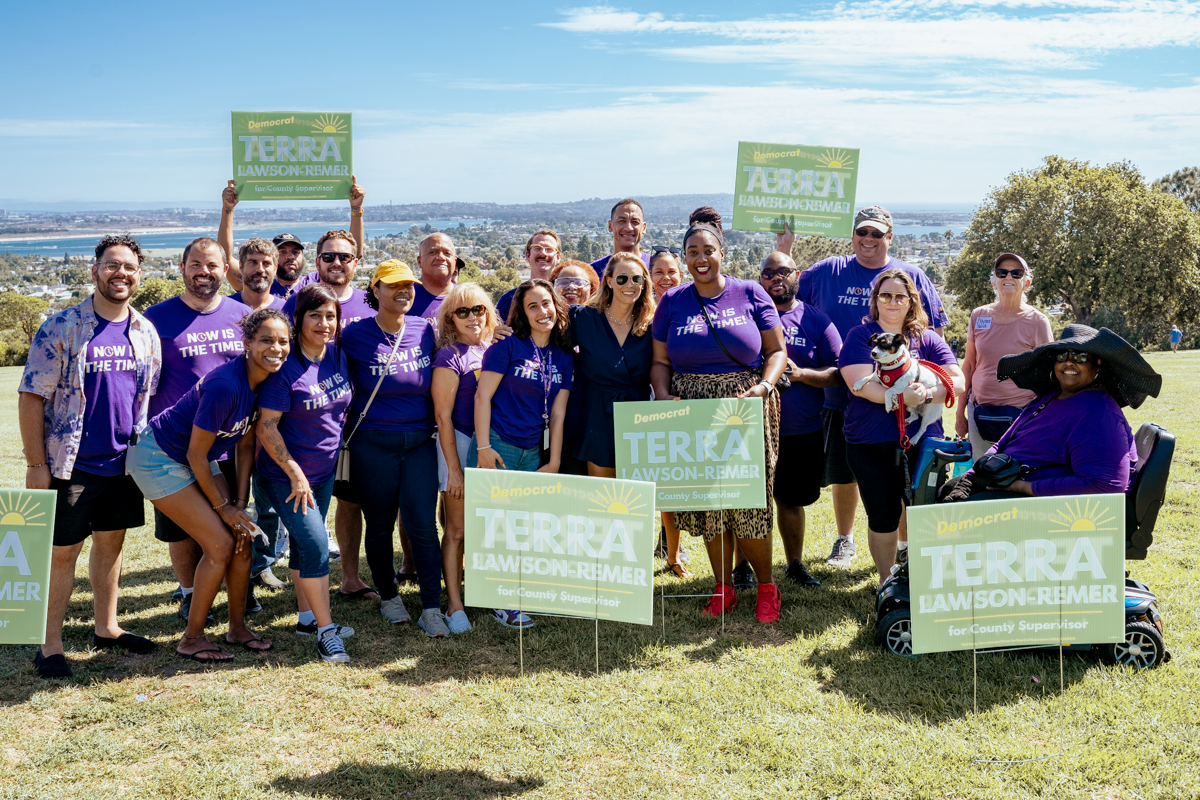 Volunteer and vote
